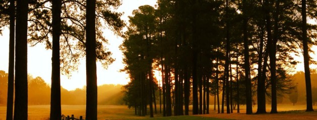 Welcome to Hillandale Golf Course