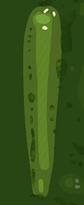 Course Tour
